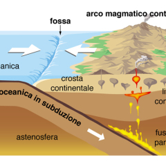 scienze