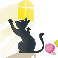 gatto nero