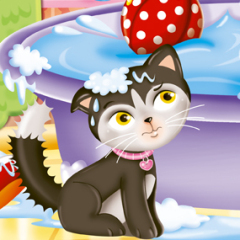 libro gioco